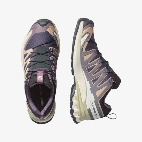 XA PRO 3D V9 GORE-TEX - Salomon (1)