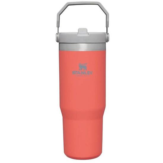 Stanley The IceFlow Flip Straw Pipetli Termos Bardak 0,89 LT-MERCAN - STANLEY